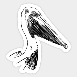 Pelican Sticker